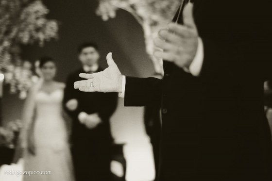 Casamento Azul e Rosa Campinas 14