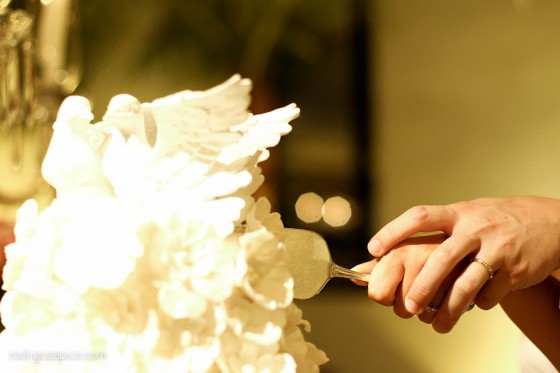 Casamento Azul e Rosa Campinas 29